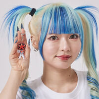 �������u���u���W���[ �@�f�t�H�����@�A�N�����`���[���i�S17��j