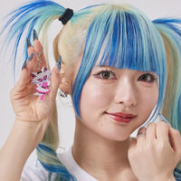 �������u���u���W���[ �@�f�t�H�����@�A�N�����`���[���i�S17��j