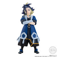 �|�P�����X�P�[�����[���h �q�X�C�n�� �Z�L�����[�t�B�A