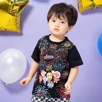 ����ԉΕ�����T�V���c