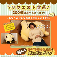 【抽選販売】すべて受け入れるポムポムプリン