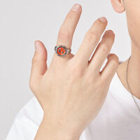 �������u���u���W���[�@�U�R���׃t���[�����O