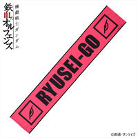 風が強く吹いている　非売品　クリアファイル　＋寛政大学マフラータオル 風が強く吹いている 非売品 クリアファイル ＋寛政大学マフラー
