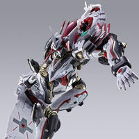 METAL BUILD �j�����@�[�V�� type ZERO RS