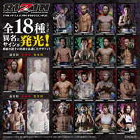 ynsNIzRIZIN@PIICA{NApXP[X@(S18)