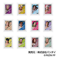 RIZIN アートフレームコレクション BBOX