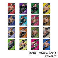 RIZIN プラボードコレクション