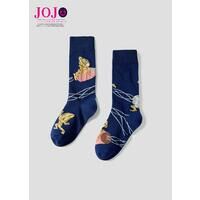 AjwWW̊Ȗ` ̕x Ojt \bNX