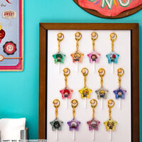 �y���ʌ���z�l�̃q�[���[�A�J�f�~�A ��2�� �Y�p���Z�I�[�v���X�N�[��  �L�����f�B���L�[�z���_�[�@�i�~�j�L�����j