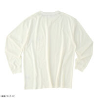 STRICT-G BASICwV@LK_W Endless Waltzx|PbgtOTVc vx^[S