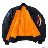 STRICT-G ALPHAw@mK_ M̃nTEFC LP[̖xMA-1 nTEFCEmA