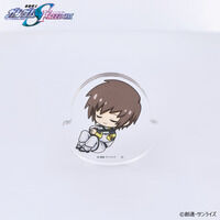 �@����m�K���_��SEED FREEDOM ��������A�N�����X�^���h�i�S8��j