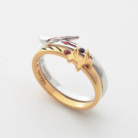 �i���o�[��������S�W���E�W���[ �Z�b�g�����O(�S2��)