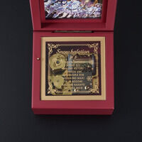 ���u���C�u�I �������A���I���S�[���uSnow halation�v