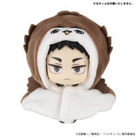 �邩���� �|���`�� �n�C�L���[!! �{�N�g�t�N���E/�A�J�A�V�t�N���E