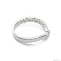 STRICT-G THE KISS�w�@����m�K���_�� �S���̃I���t�F���Y�x�O�����E�I�[�K�X �V���o�[�����O