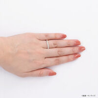 STRICT-G THE KISS�w�@����m�K���_�� �S���̃I���t�F���Y�x�O�����E�I�[�K�X �V���o�[�����O