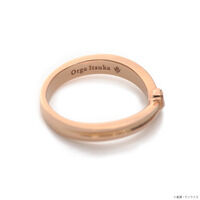 STRICT-G THE KISS�w�@����m�K���_�� �S���̃I���t�F���Y�x�I���K�E�C�c�J �V���o�[�����O