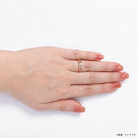 STRICT-G THE KISS�w�@����m�K���_�� �S���̃I���t�F���Y�x�I���K�E�C�c�J �V���o�[�����O