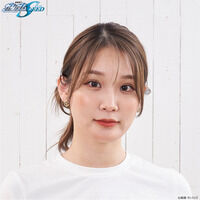 �@����m�K���_��SEED�@�X�^�b�h�C���[�A�N�Z�T���[ Z.A.F.T.���f�� �y2026�N1�������z