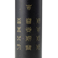 ���ʃ��C�_�[�N�E�K�@�X�e�����X�{�g��