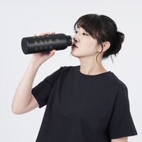 ���ʃ��C�_�[�N�E�K�@�X�e�����X�{�g��