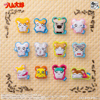 �ʂ��s�� �Ƃ��Ƃ��n�����Y(BOX12��)