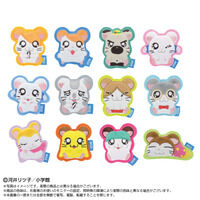 �ʂ��s�� �Ƃ��Ƃ��n�����Y(�P�i�����_��12��)