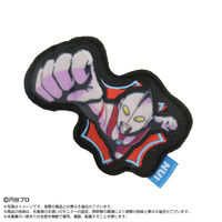 �ʂ��s�� �E���g���}���V���[�Y(BOX12��)