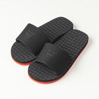 ���ʃ��C�_�[�N�E�K�@�T���_��