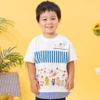 �p���[�h���ؑ֔���T�V���c