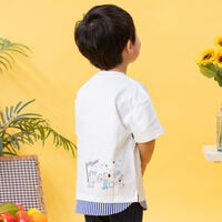 �p���[�h���ؑ֔���T�V���c