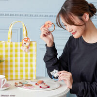 �y�n�s�N���I�zMaison terrier ���̂��َq�̂��������������w�A�S��(�S10��)�y�S�����͂��z