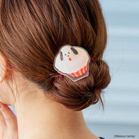 �y�n�s�N���I�zMaison terrier ���̂��َq�̂��������������w�A�S��(�S10��)�y�S�����͂��z