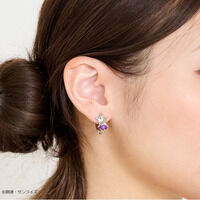 �@����m�K���_�� �S���̃I���t�F���Y�@�N�[�f���A�̃C���[�A�N�Z�T���[�i2026�N4�������j