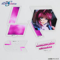 �@����m�K���_�� SEED FREEDOM�@�y�A�A�N�����X�^���h�@�V���E�A�X�J�����i�}���A�E�z�[�N�y2026�N5�������z