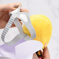 Chibi�ʂ�����݁@�V���A�E�A�Y�i�u���y3���F2026�N5�������z