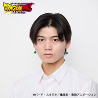 �h���S���{�[��DAIMA�@�|�^���̃s�A�X�^�C�������O�i�E���_�j�y�Ĕ́z