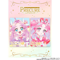 �v���L���A�J�[�h�E�G�n�[�X13(20��)