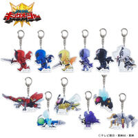 ���l����L���O�I�[�W���[�@����f�t�H�����V���[�Y�@�A�N�����L�[�z���_�[�i�S12��j�y�Ĕ́z