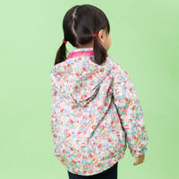 �����E�C���h�u���[�J�[