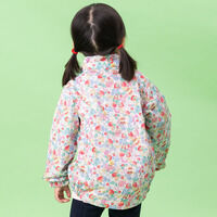 �����E�C���h�u���[�J�[