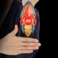 �E���g�����v���J ���r�E�X�u���X -ULTRA BROTHERS EDITION- ���r�E�X�C���t�B�j�e�B�[Ver.