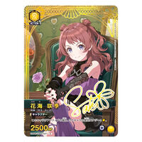 UNION ARENA �w���A�C�h���}�X�^�[ �v���~�A���R���N�V�����{�b�N�X�y2���F2026�N9���������z