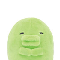 �Ղ�ʂ��Ղ� �����ς����y4���F2026�N8�������z