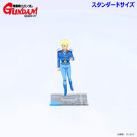 �@����m�K���_�� �t�P�̃V���A �A�N�����X�^���h �i�X�^���_�[�h�T�C�Y�j ���e �i�S8��j�y2026�N6�������z