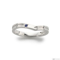 STRICT-G THE KISS�w�@����m�K���_�� �M���̃n�T�E�F�C �L���P�[�̖����x�n�T�E�F�C�E�m�A �V���o�[�����O