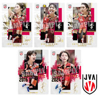 JAPAN NATIONAL VOLLEYBALL TEAM -���q���{��\ver.- �c�C���E�G�n�[�X 2026(20��)