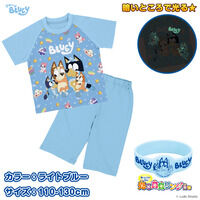 �u���[�C �E�C���ł�I����p�W���}A