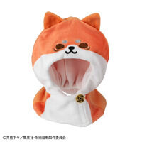 �邩���� �|���`�� �A�j���w��p����x 5���N �Տ�I�m�^�����b�^�B����K�N�^�܏���